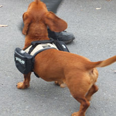 ユニバーサルIDCサイドバッグ