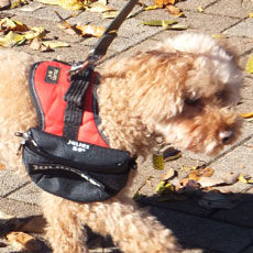 ユニバーサルIDCサイドバッグ