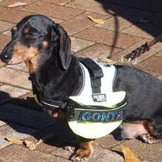 ユニバーサルIDCサイドバッグ ネオングリーン