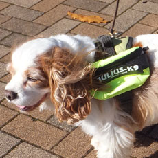 ユニバーサルIDCサイドバッグ