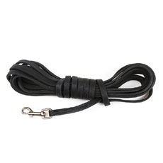 Leather Leash