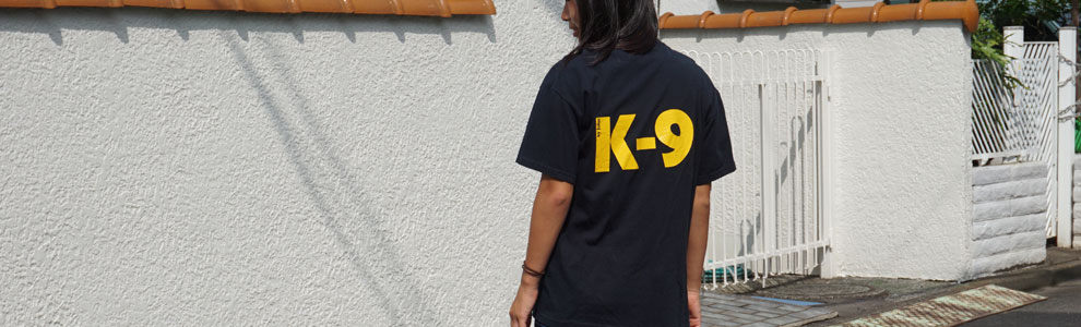 Lakis Latis - Power Harness