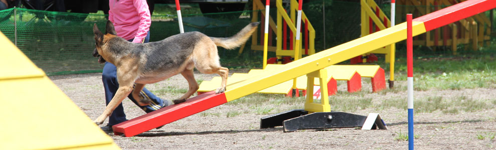 Lakis Latis - Power Harness