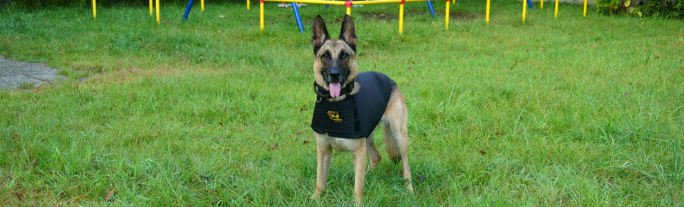 Lakis Latis - Stab-proof dog vest