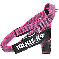 Belt Harness