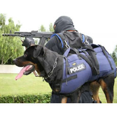 特別なハーネス