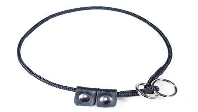 Julius K-9 Training Collar