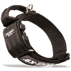 ソフトナイロンラベル首輪