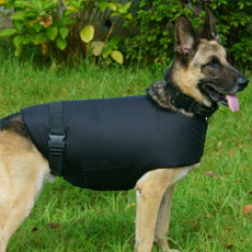 特殊業務用ハーネス