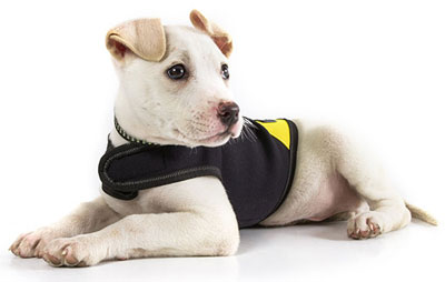 IDC Neoprene Dog Jacket