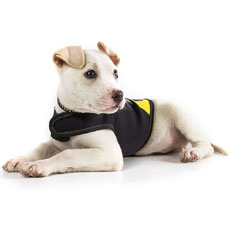 ドッグジャケット(ネオプレン素材)