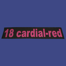 Power Harness 深紅