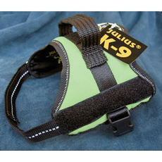 powerharness Kiwi Mini