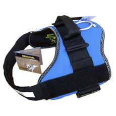 Power Harness ブルー