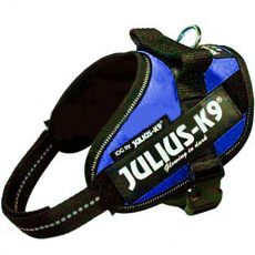 Power Harness ブルー