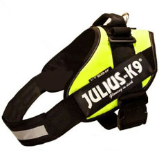 IDC powerharness Neon Size 0