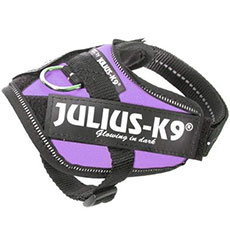 Power Harness ラベンダー