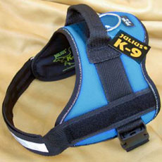 Power Harness アクアマリーン